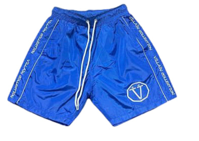 Villain “VLN” Shorts (Blue)